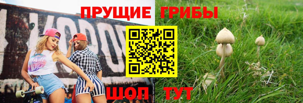 Галлюциногенные грибы ЛСД Астрахань